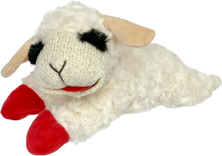 Lamb Chop: 10 Proven Best Toys for Dogs 5 71dHQoiDCL. AC SL1500 Homehindsight