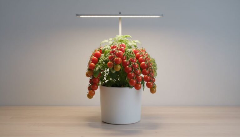Tabletop Vegetables