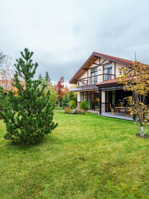 pexels-heyho-7061659 pexels-heyho-7061659